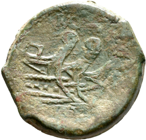 Römische Republik: C. Vibius Pansa
